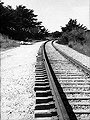 Davenport Train Tracks